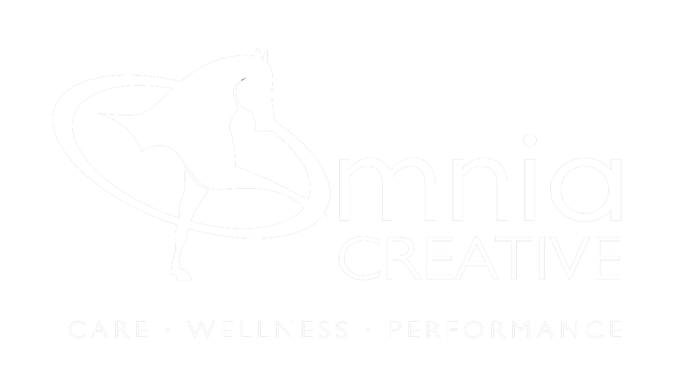 Omnia Creative